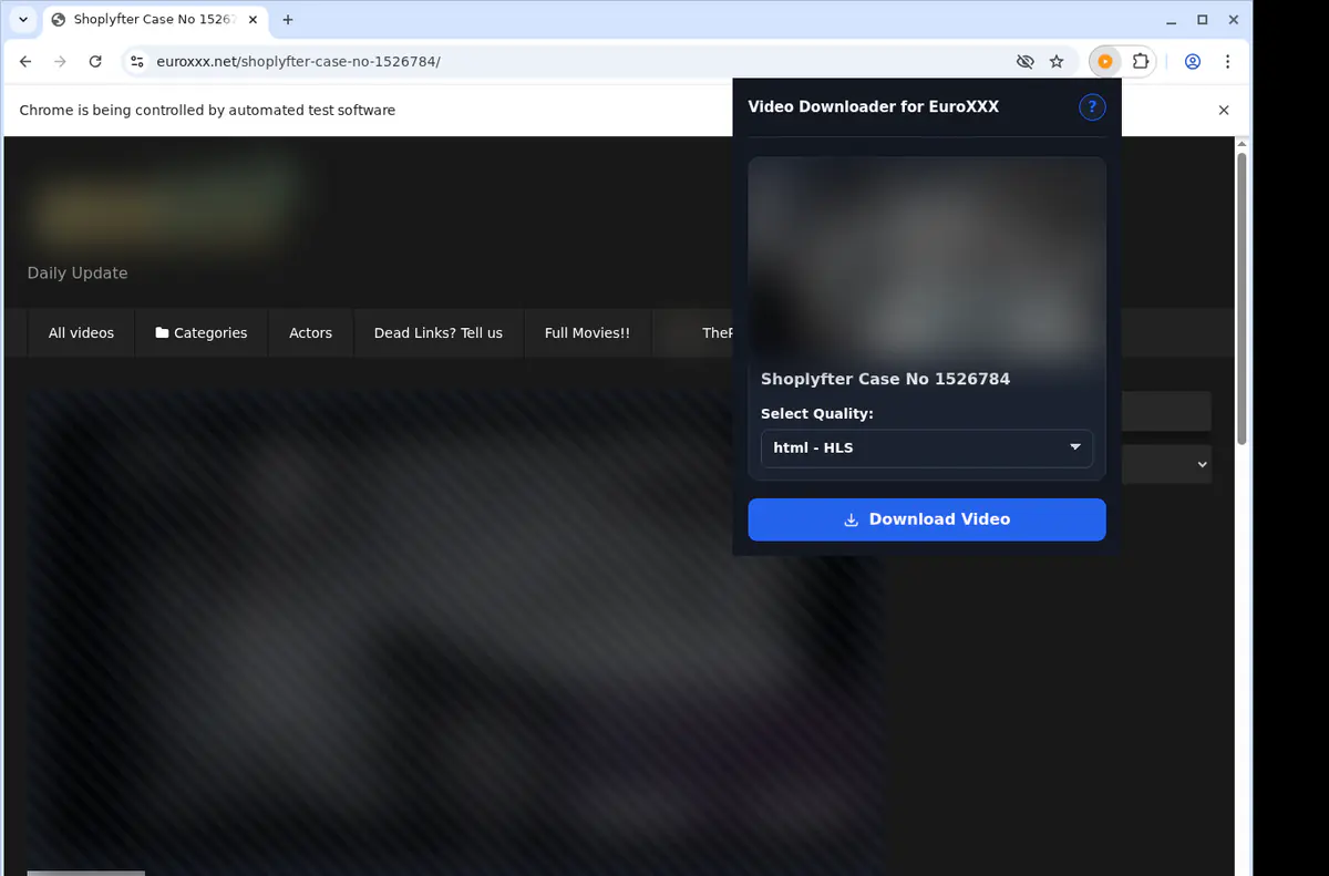 Euroxxx Video Downloader browser extension screenshot 3